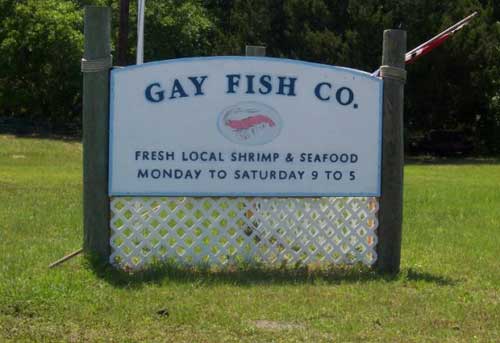 http://legacy-cdn.smosh.com/smosh-pit/092010/names-gayfish.jpg